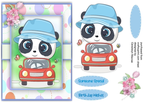 A5 ,Pandas   New Car