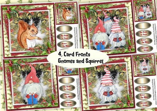4, Card Fronts  , Gnomes and Squirrel 