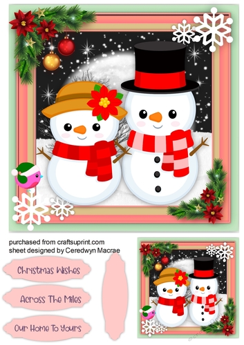 Mr & Mrs Snowman