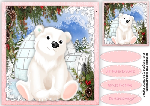 Gorgeous Polar Bear , Pink