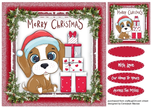 Gorgeous Christmas Pup 1