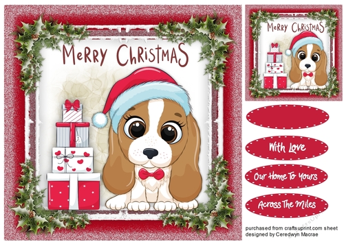 Gorgeous Christmas Pup  3