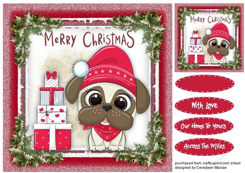 Gorgeous Christmas Pup  4