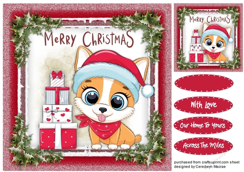 Gorgeous Christmas Pup  5