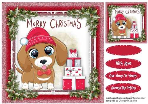 Gorgeous Christmas Pup  6