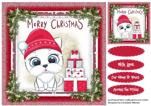 Gorgeous Christmas Pup  7