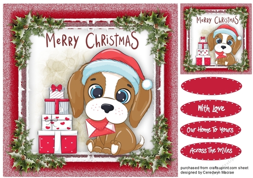 Gorgeous Christmas Pup  8