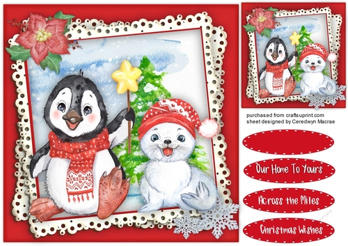 Seal and Penguin Pals