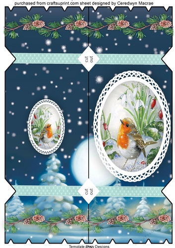 D.L ,Lovely Christmas Cracker card 2