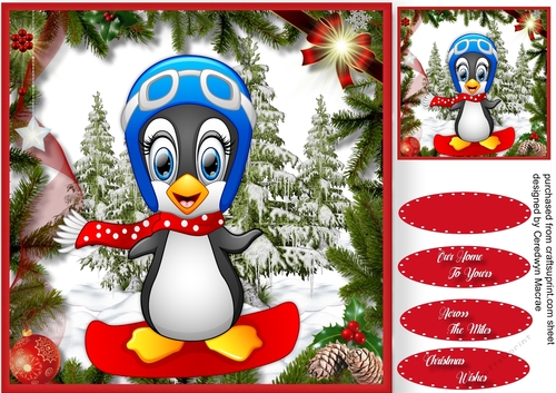  Skate- Boarder  Penguin