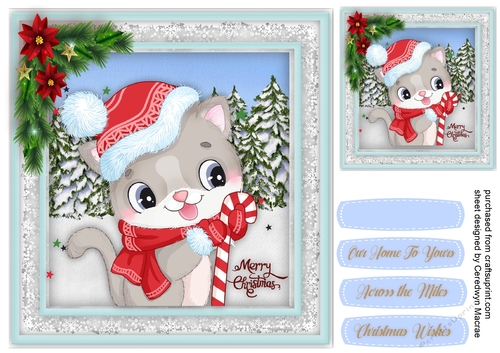 Gorgeous Christmas Cat