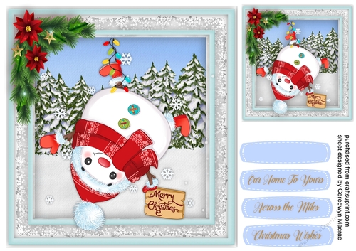 Gorgeous Hanging Snowman