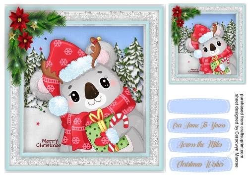 Gorgeous Christmas  Koala 