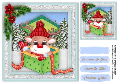 Gorgeous Reindeer in a Box