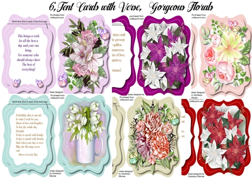 6,, Lovely Bracket Tent cards , With Inserts