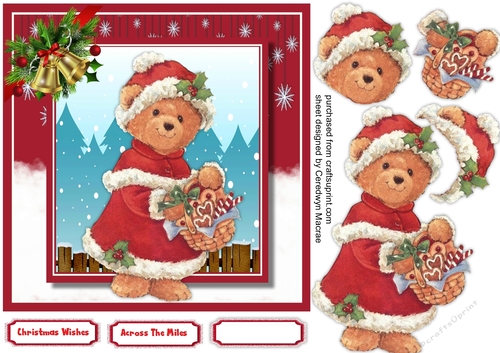 Mrs Santa Clause