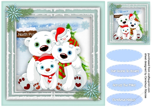 Cute Polar Bear Family