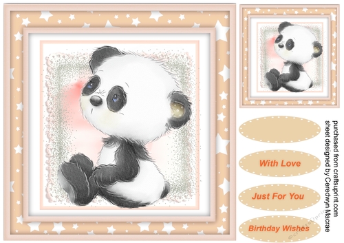 Gorgeous Baby Panda , Pink