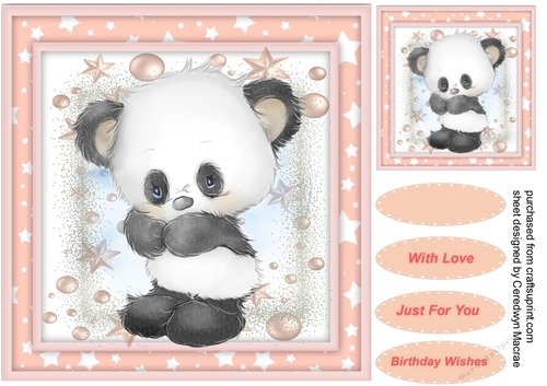 Gorgeous  Panda , With Stars ,Pink