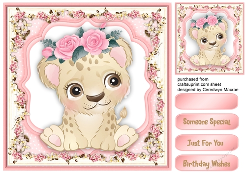  Lovely Tiger  in a Flower Frame 