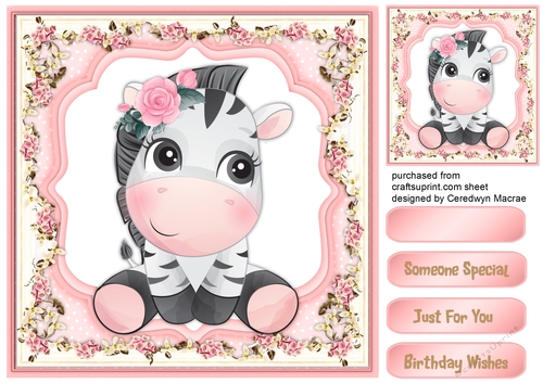  Lovely Zebra  in a Flower Frame 