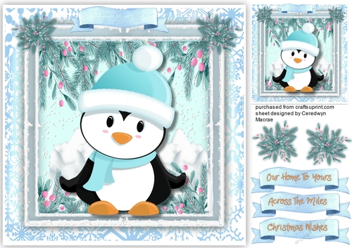 Penguin in a Blue Hat