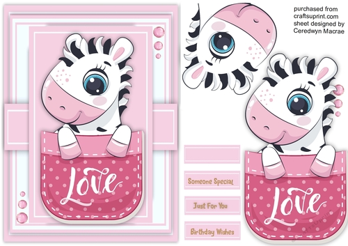 Zebras  Love Pocket 
