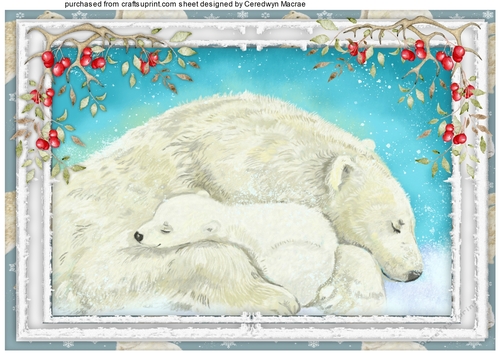 A4, Beautiful Polar Love 