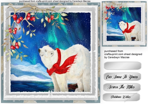 8x8 Beautiful Polar Breeze