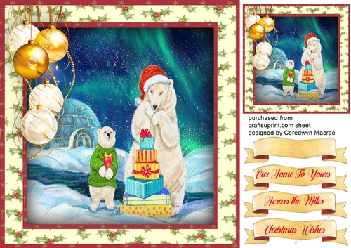 Bears Surprise Presents 