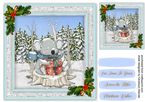 Koalas Christmas Present