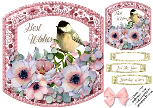 Beautiful Birds and  Pink Anemones