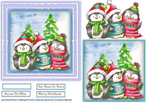 6x6  Cards 3 Chilly Penguins