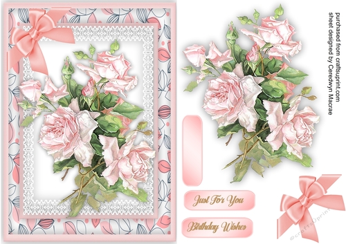 A5 , Beautiful French Pink Roses
