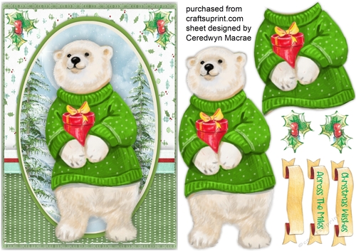Gorgeous Polar Bear and Present 