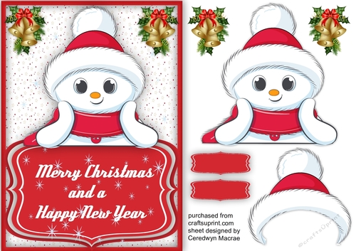 A5 , Cute Snowman Just For You  1
