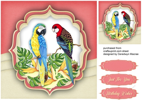 Gorgeous Parrots on a Branch