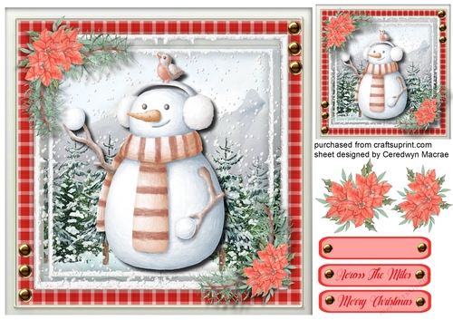 Gorgeous Snowman and Robin 1