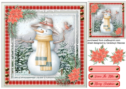Gorgeous Snowman and Robin 2