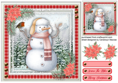 Gorgeous Snowman and Robin 3