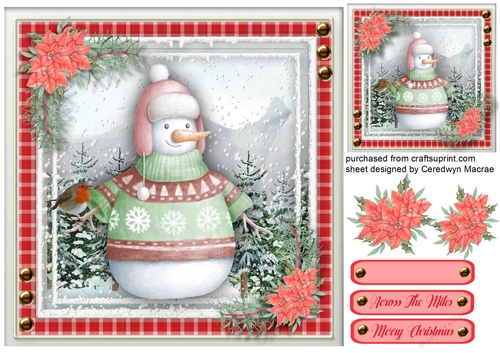 Gorgeous Snowman and Robin 4