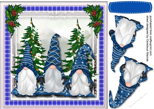 Beautiful Blue Gnomes