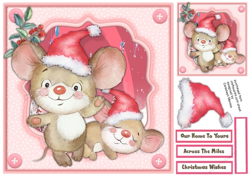 Gorgeous Christmas Mouse, Asleep Again