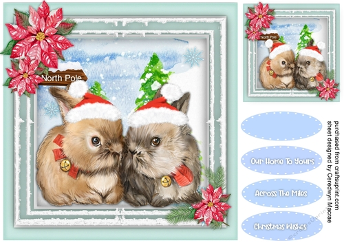 Flip and Flop  Cute Christmas Rabbits 