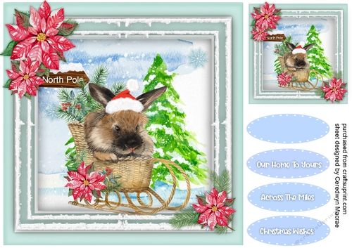 Rabbits Sleigh Ride 