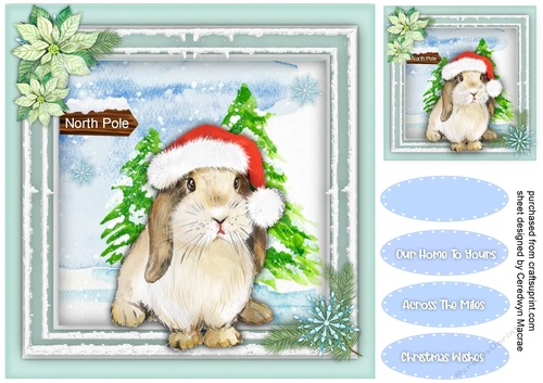  The Christmas Rabbit