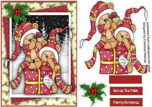 A5 Gorgeous Bear Fun