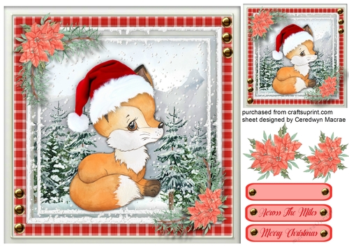 Gorgeous Christmas Fox 