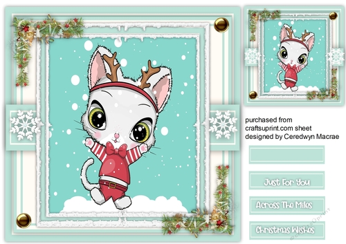 Gorgeous Christmas Cat