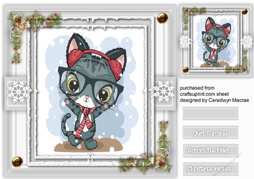 Gorgeous Christmas Grey Cat